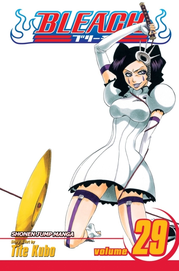 6846437-bleach 29.jpg