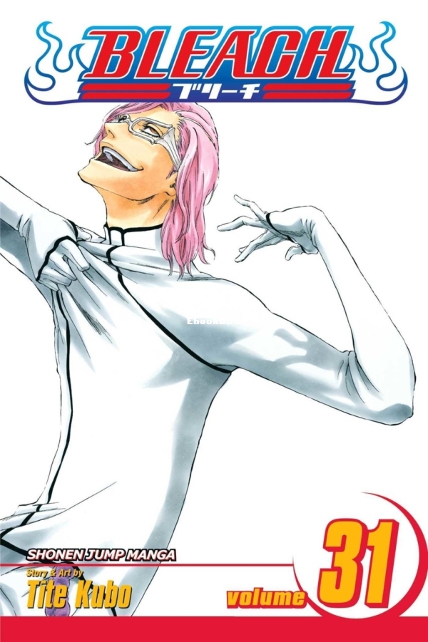 6912556-bleach 31.jpg