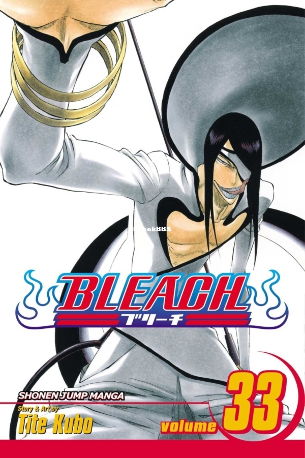 6912558-bleach 33.jpg