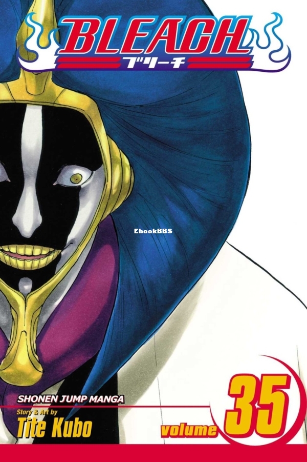6912560-bleach 35.jpg