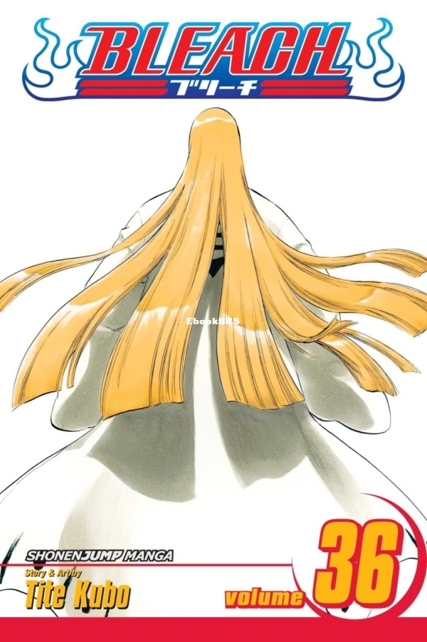 6912561-bleach 36.jpg