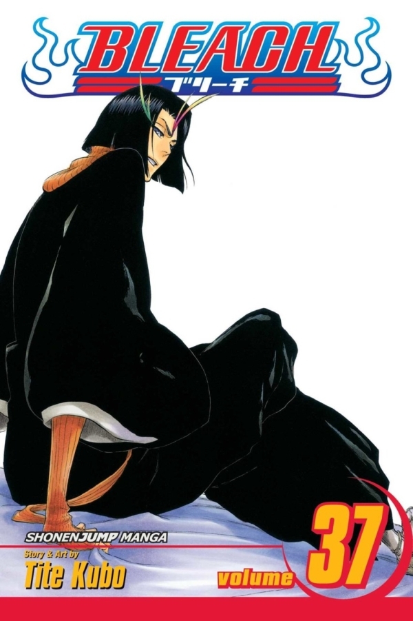 6912562-bleach 37.jpg