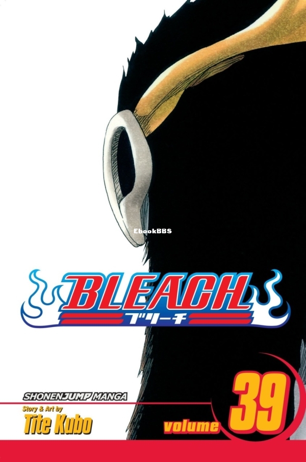 6912566-bleach 39.jpg