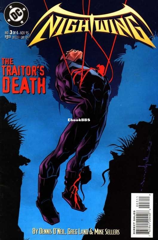 618864-nightwing_3_of_4_00fc.jpg