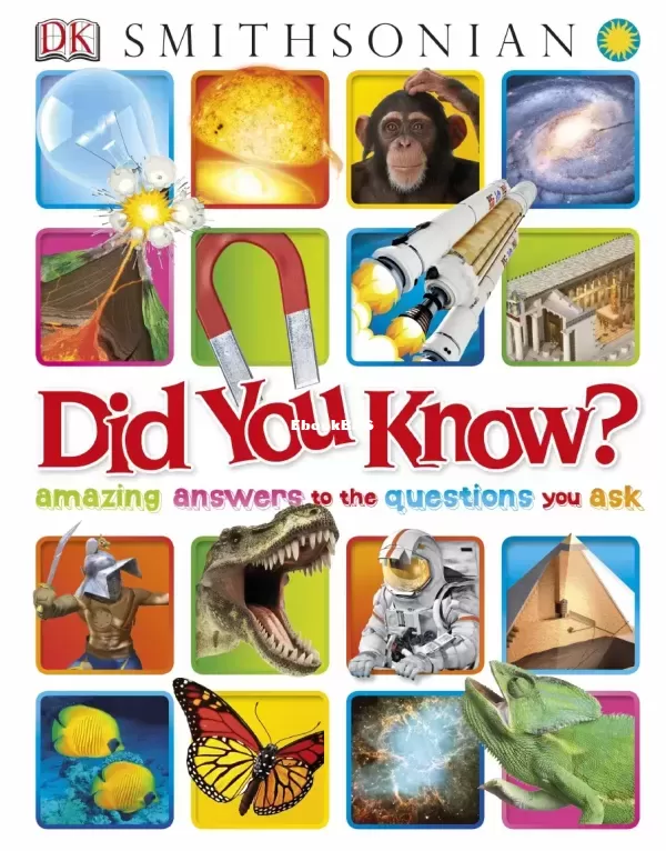 Did-You-Know-Amazing-Answers-to-the-Questions-You-Ask.jpg