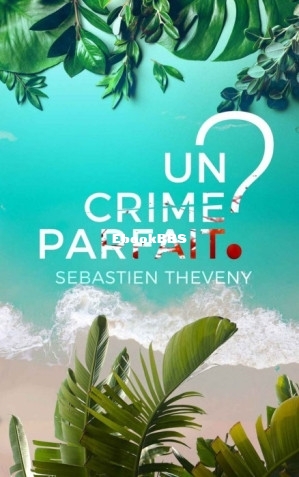 Colombe Deschamps et Jérôme Bastaro-T2-Un crime parfait (THEVENY, Sébastien [.jpg