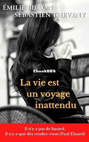 LA VIE EST UN VOYAGE INATTENDU (French Edition) (Sébastien Theveny  Émilie Bil.jpg