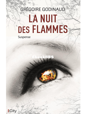La nuit des flammes (Godinaud Grégoire) (Z-Library).png