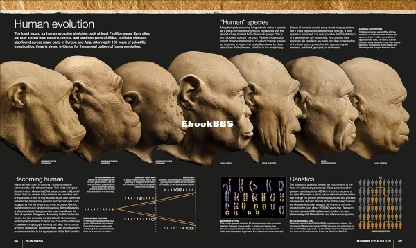 Evolution-The-Human-Story-DK-Publishing-2018-pdf - 2.jpg