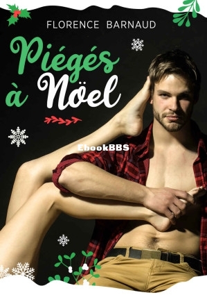 Piégés à Noël (Florence Barnaud) (Z-Library).jpg
