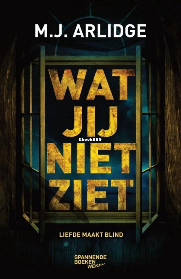 Wat Jij Niet Ziet - M.J. Arlidge - Dutch.jpg