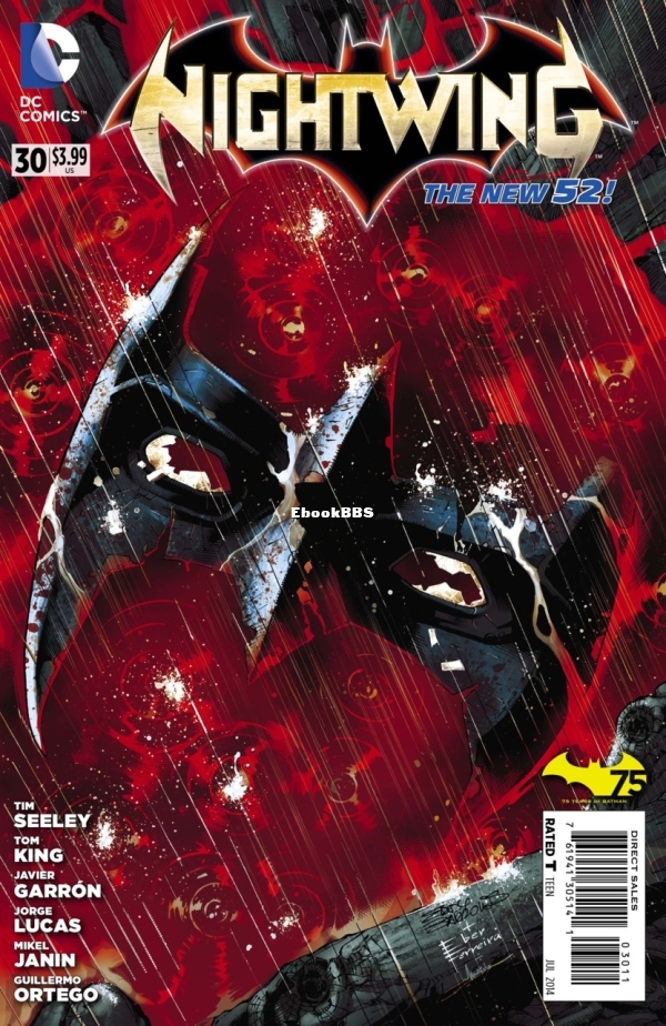 3848905-nightwing 01.jpg