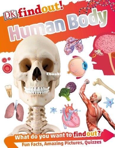 Human Body (DK Findout!).jpg