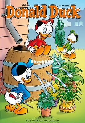 nl_dd2020_37a_001.jpeg