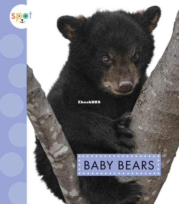 Baby Bears (Spot Baby Animals) - 1.png