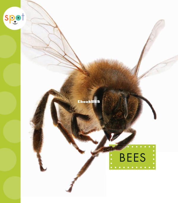 Bees (Spot) - 1.png