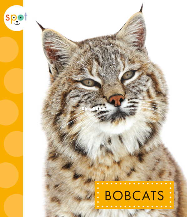 Bobcats (Spot Wild Cats) - 1.png