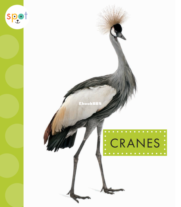 Cranes (Spot Big Birds) - 1.png