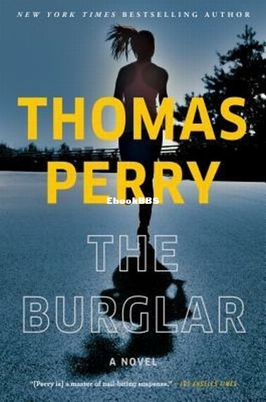 The Burglar.jpg