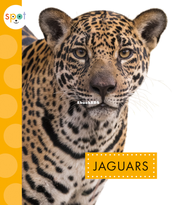 Jaguars (Spot Wild Cats) - 1.png