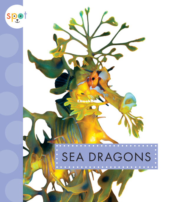 Sea Dragons (Spot Ocean Animals) - 1.png