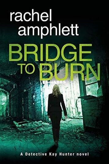 Bridge to Burn.jpg