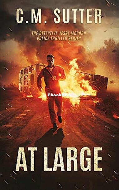 At Large.jpg