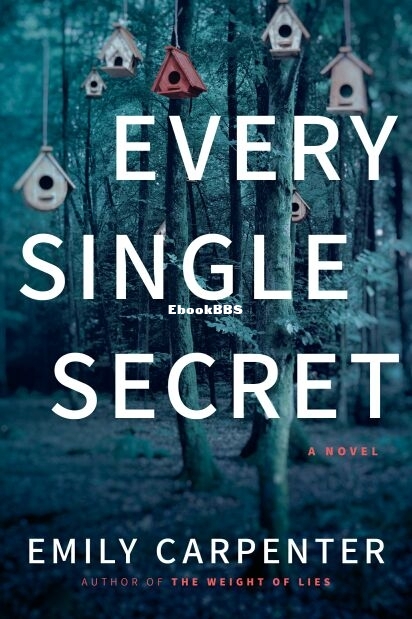 Every Single Secret.jpg