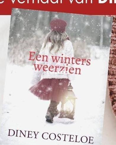 Een Winters Weerzien - Diney Costeloe - Dutch