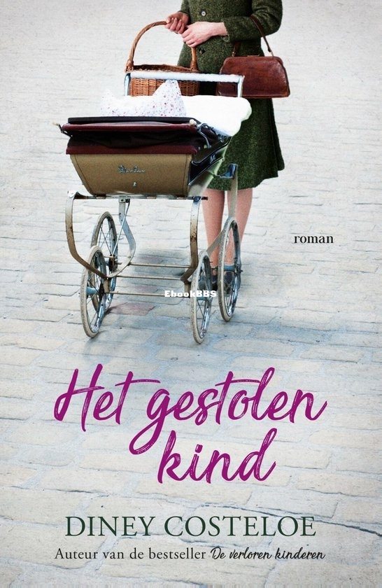 Het Gestolen Kind - Diney Costeloe - Dutch