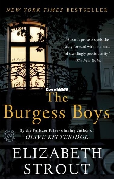 The Burgess Boys.jpg