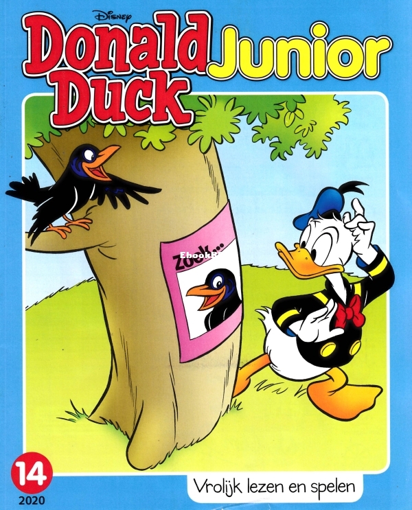 14.jpg