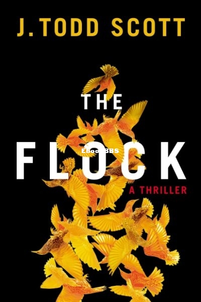 The Flock.jpg