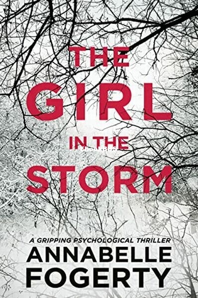 The Girl In The Storm.jpg