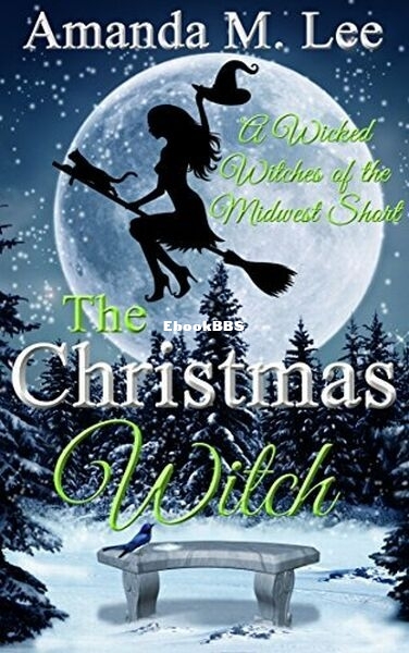 The Christmas Witch.jpg