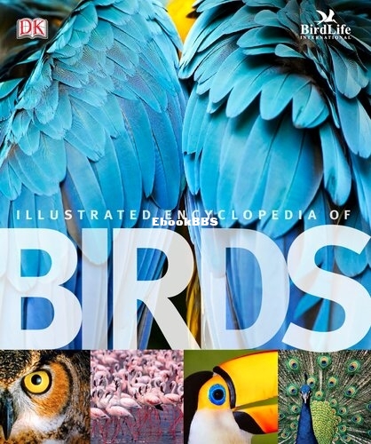 Illustrated Encyclopedia Of Birds.jpg