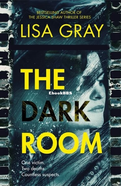 The Dark Room - Lisa Gray.jpg
