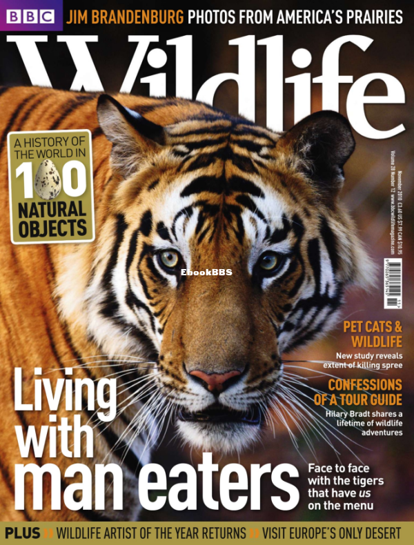 BBC Wildlife v28i12 - 1.png