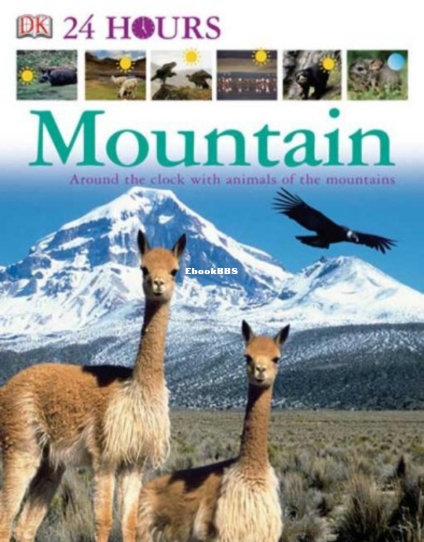 mountain-dk-24-hours_compress - 1.jpg