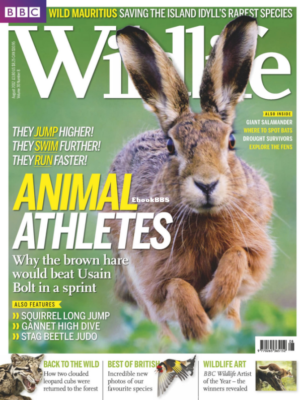 BBC Wildlife 08.2012 - 1.png