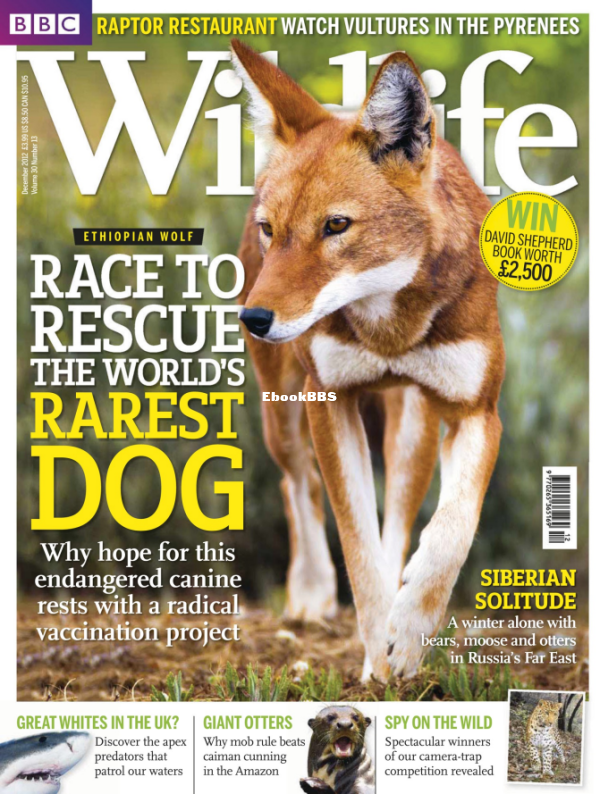 BBC Wildlife 13.2012 - 1.png
