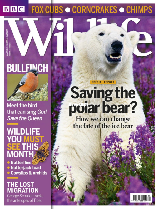 BBC Wildlife 05.2013 - 1.png
