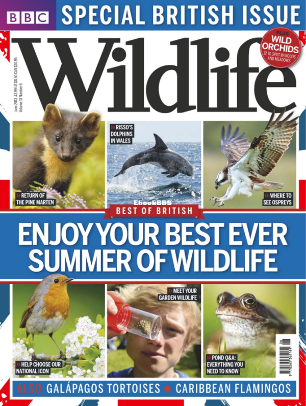 BBC Wildlife 06.2013 - 1.png