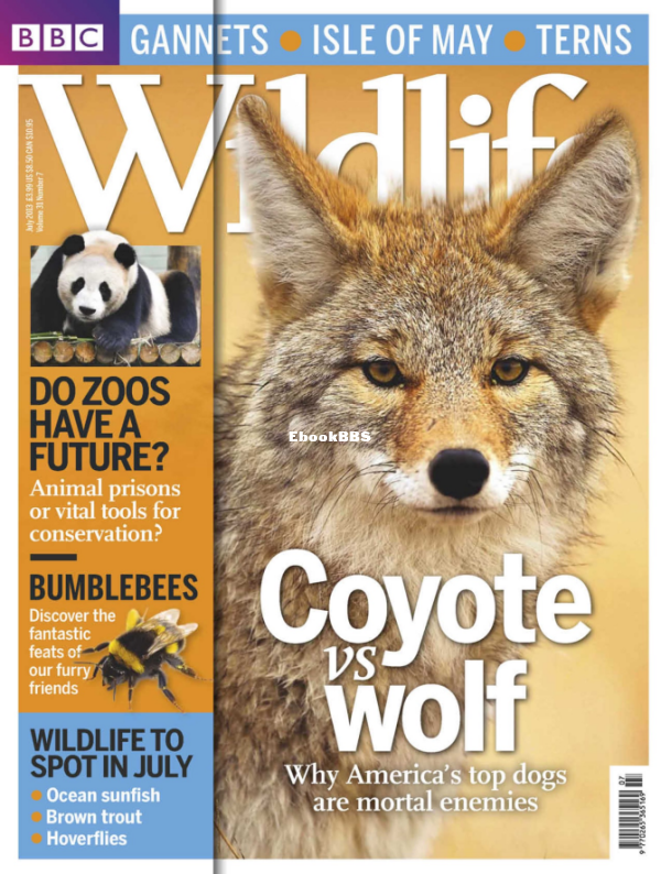 BBC Wildlife 07.2013 - 1.png