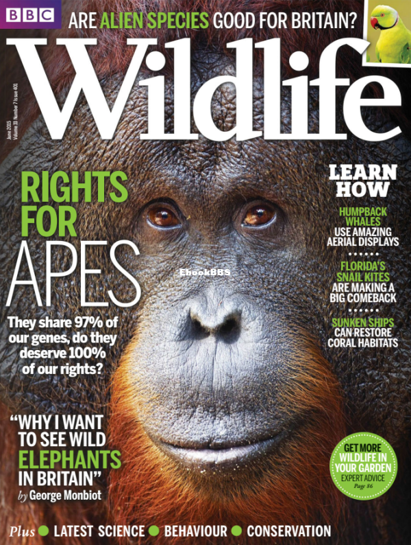 BBC_Wildlife_07_2015 - 1.png