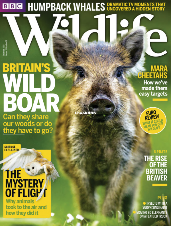 BBC_Wildlife_13_2015 - 1.png