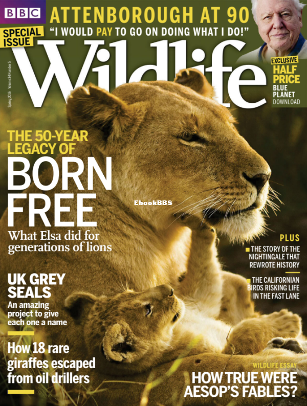 BBC Wildlife - 05.2016 - 1.png