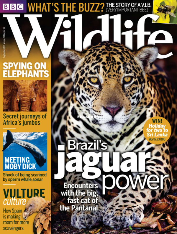 BBC Wildlife - 10-2016 - 1.png