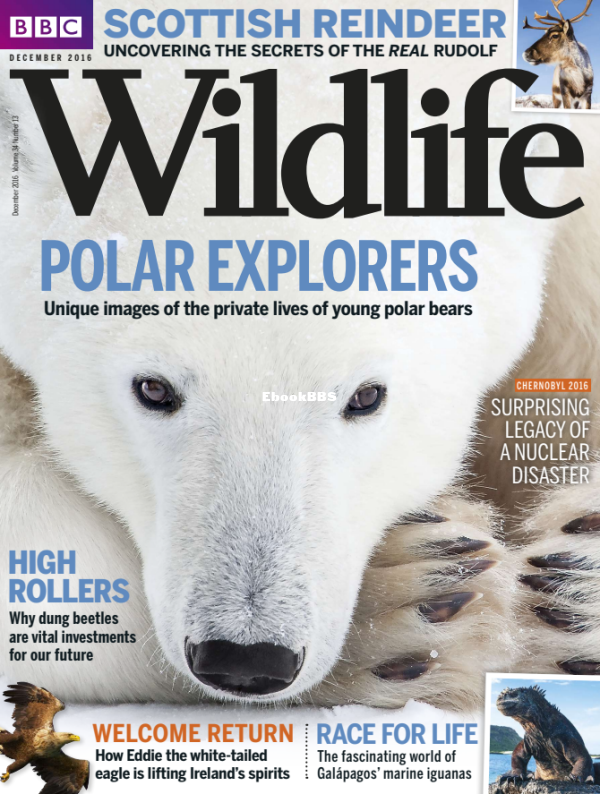 BBC Wildlife - 13-2016 - 1.png