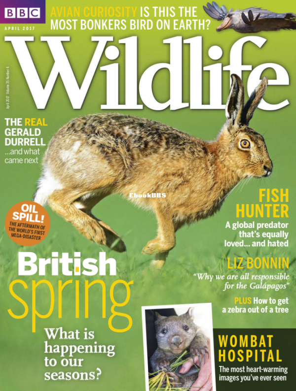 BBC_Wildlife 2017-04 - 1.png